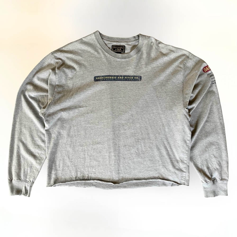 Vintage Abercrombie & Fitch Cropped Gray Long Sleeve Tee